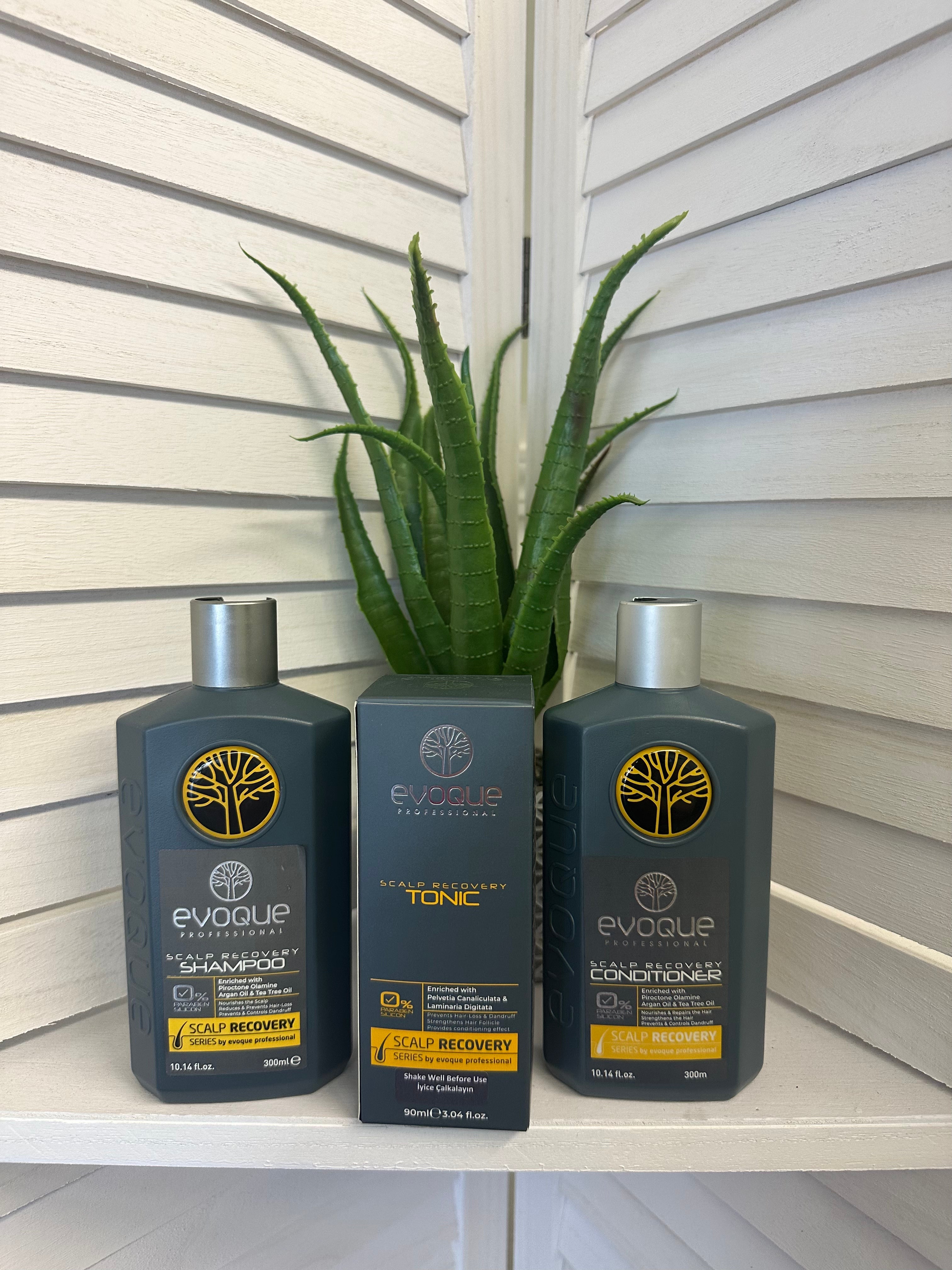 EVOQUE PROFESSIONAL SHAMPOO shops & CONDITIONE